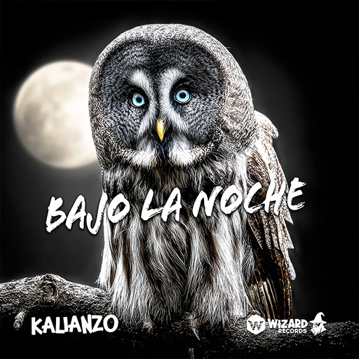 Bajo La Noche album cover